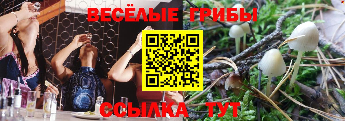 Медногорск  Галлюциногенные грибы мухоморы  Галлюциногенные грибы MAGIC MUSHROOMS  Вход с VPN 