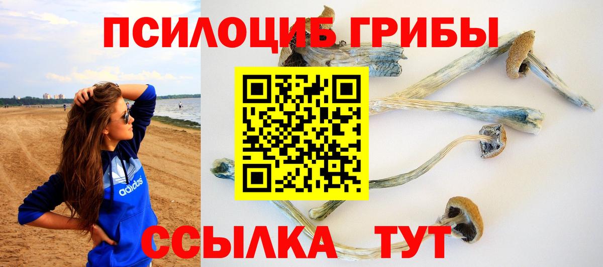 Псилоцибиновые грибы прущие грибы Медногорск